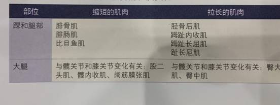 足外翻的矫正方法