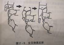 1592812562548365.jpg image004.jpg